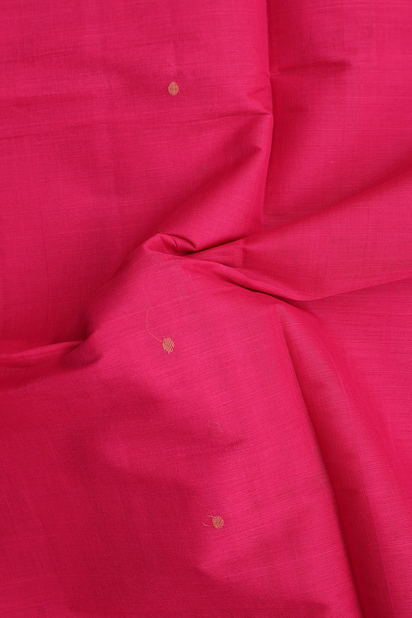 Venkatagiri Cotton Saree In Rani Pink With Polka Zari Buttis