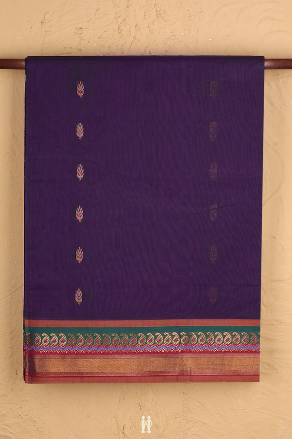 Venkatagiri Cotton Saree In Regal Purple With Paisley Buttas