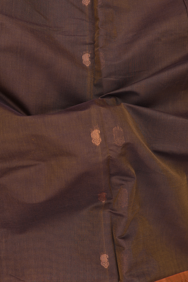 Venkatagiri Cotton Saree In Walnut Brown With Paisley Buttas