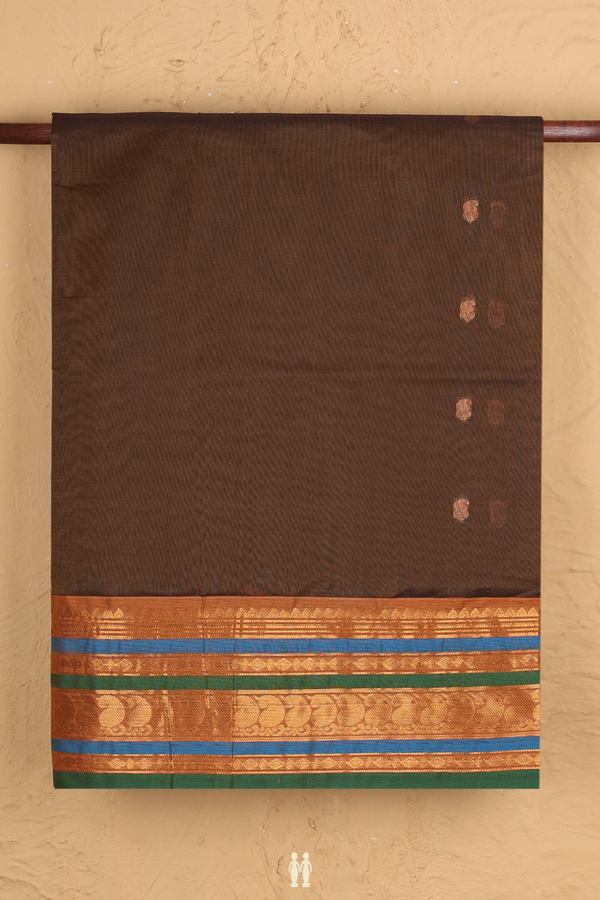 Venkatagiri Cotton Saree In Walnut Brown With Paisley Buttas