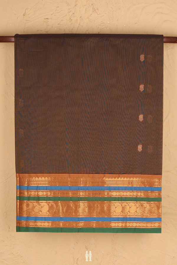 Venkatagiri Cotton Saree In Walnut Brown With Paisley Buttas