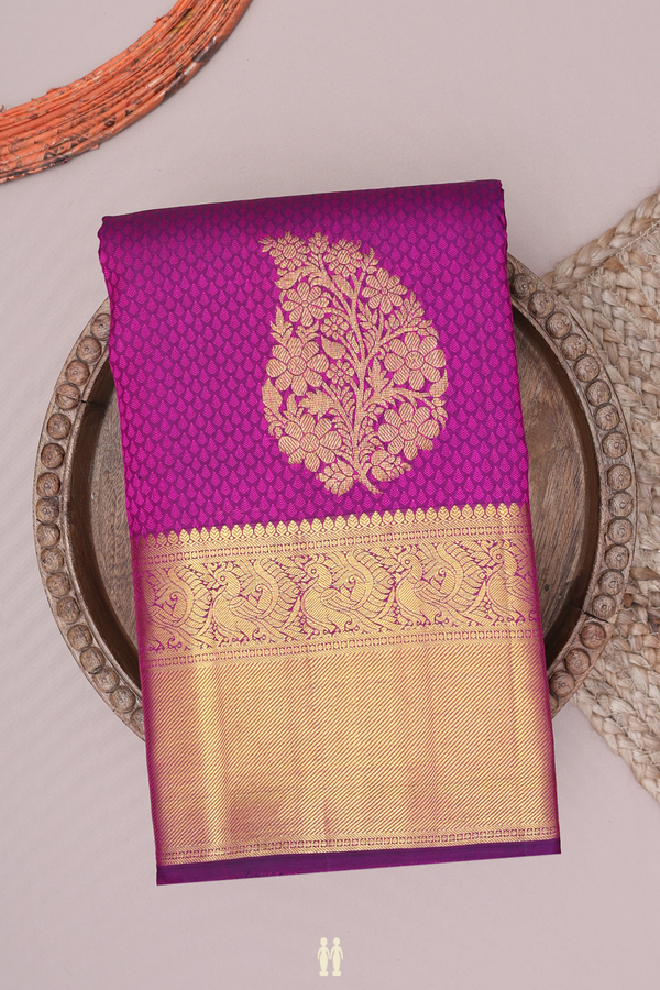 Kanchipuram Silk Saree In Purple With Jacquard Pattern