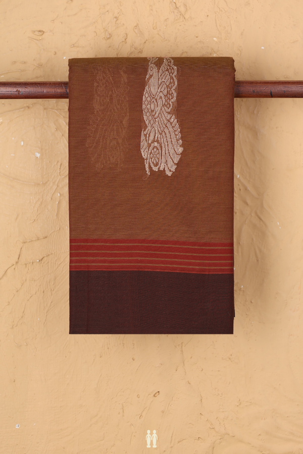Kanchi Cotton Saree In Walnut Brown With Peacock Border