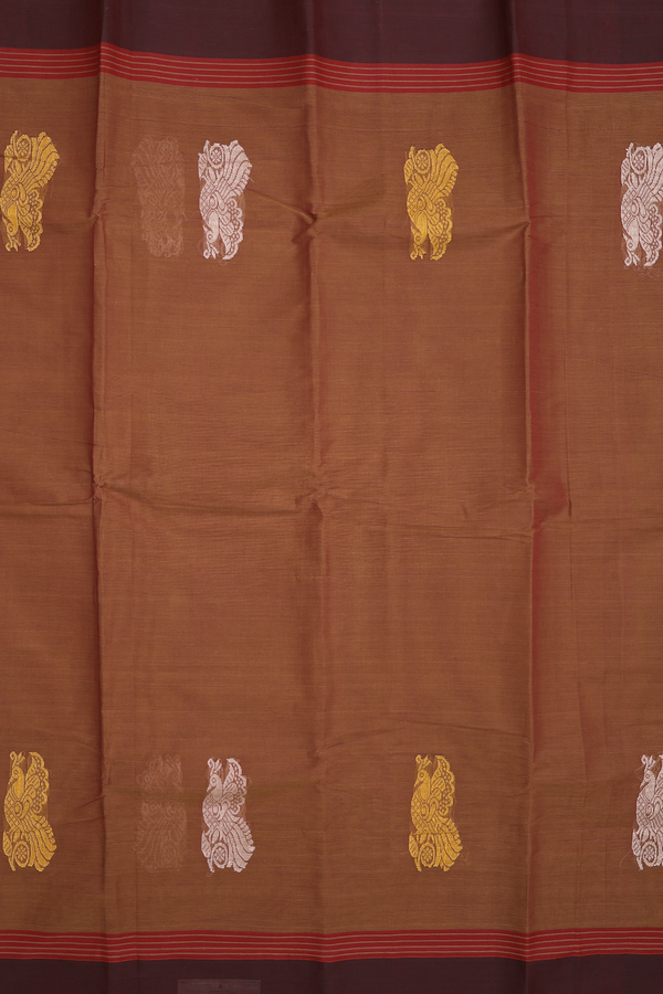 Kanchi Cotton Saree In Walnut Brown With Peacock Border
