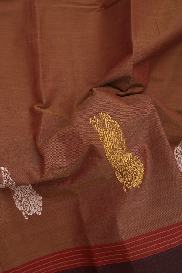 Kanchi Cotton Saree In Walnut Brown With Peacock Border
