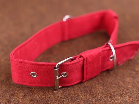 Red Plain Cotton Dog Collar With Rope Set