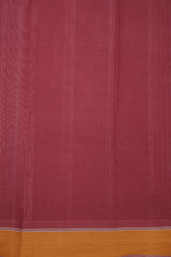 Allover Checks Design Cream Color Kanchi Cotton Saree