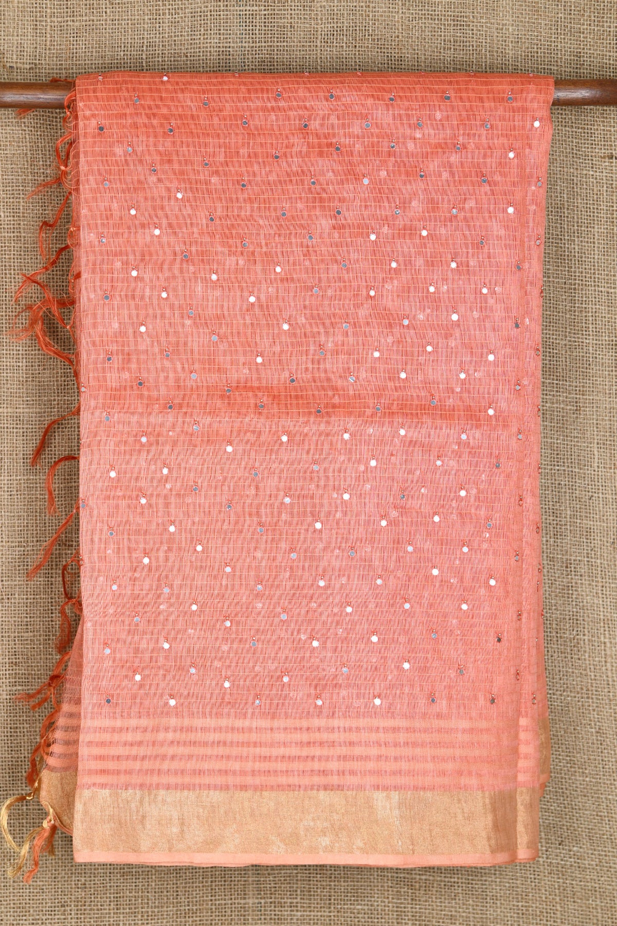 Bavanchi Border With Mirror Work Salmon Pink Tussar Silk Saree