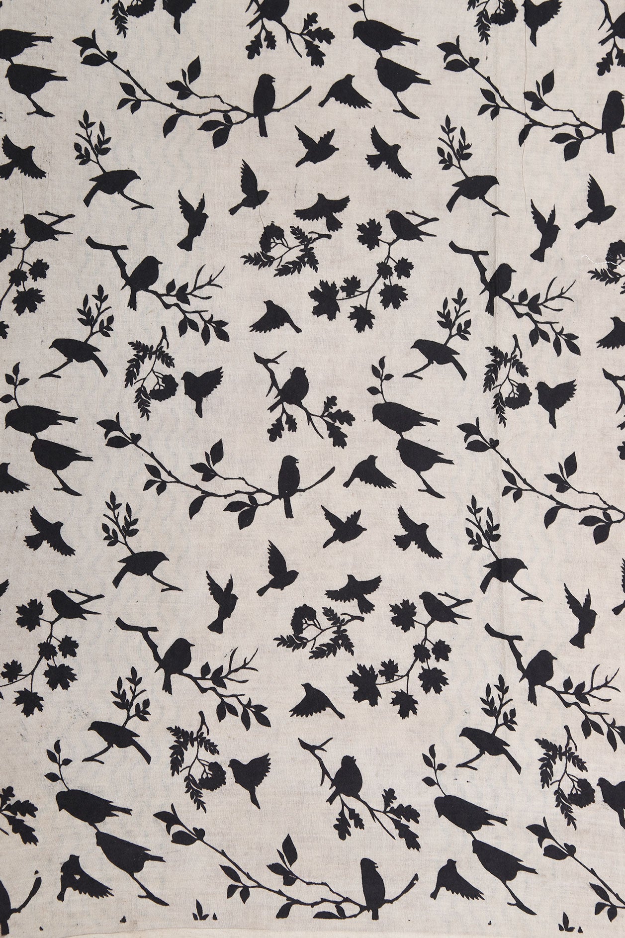 Chevron Border With Allover Birds Design Cream Color Kalamkari Printed Cotton Saree