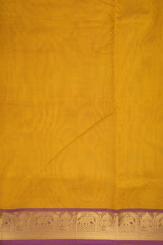 Contrast Border Golden Yellow Nine Yards Silk Cotton Saree