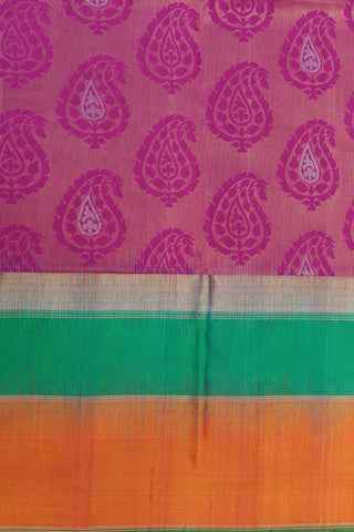 Paisley Design With Contrast Border Magenta Soft Silk Saree