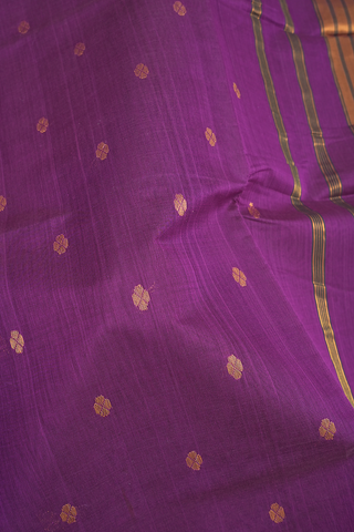 Floral Buttas Grape Purple Venkatagiri Cotton Saree