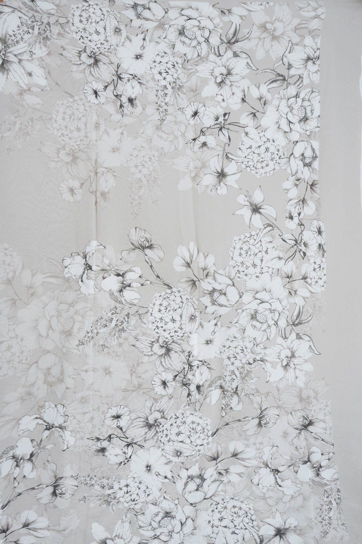 Printed Floral Design Border Light Grey Georgette Saree