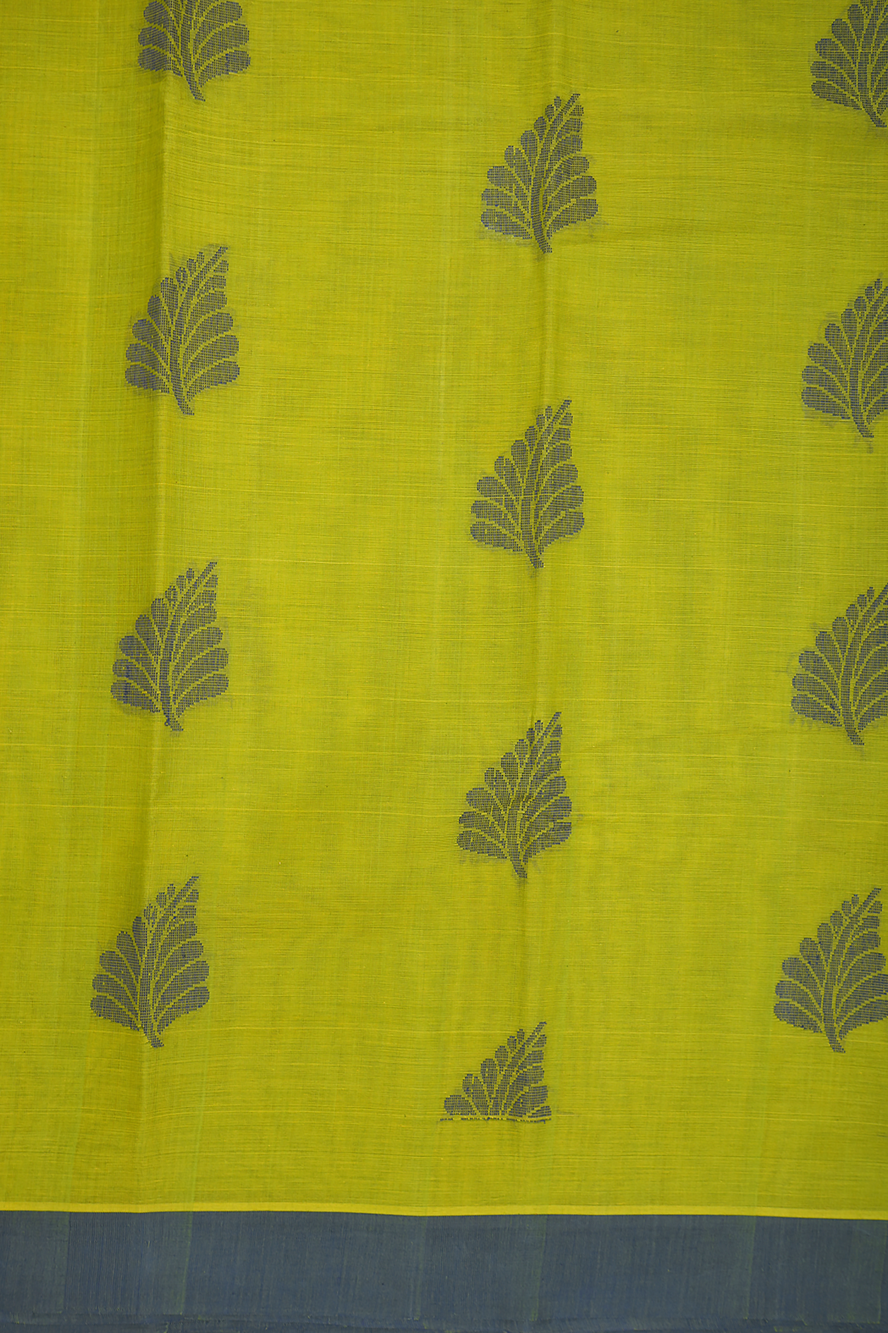Leaf Threadwork Buttas Parrot Green Kanchi Cotton Saree