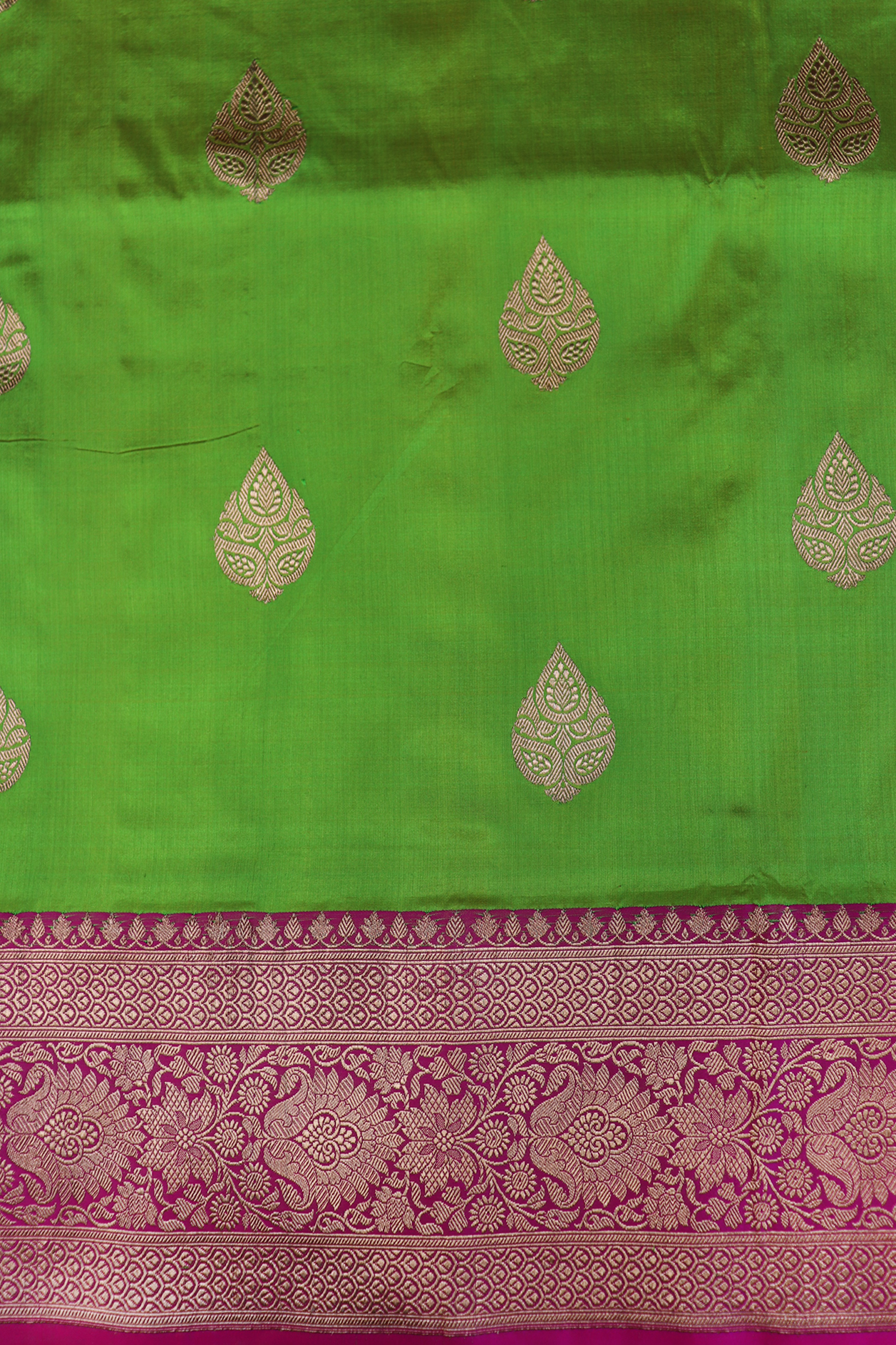 Thilagam Zari Motifs Parrot Green Banarasi Silk Saree