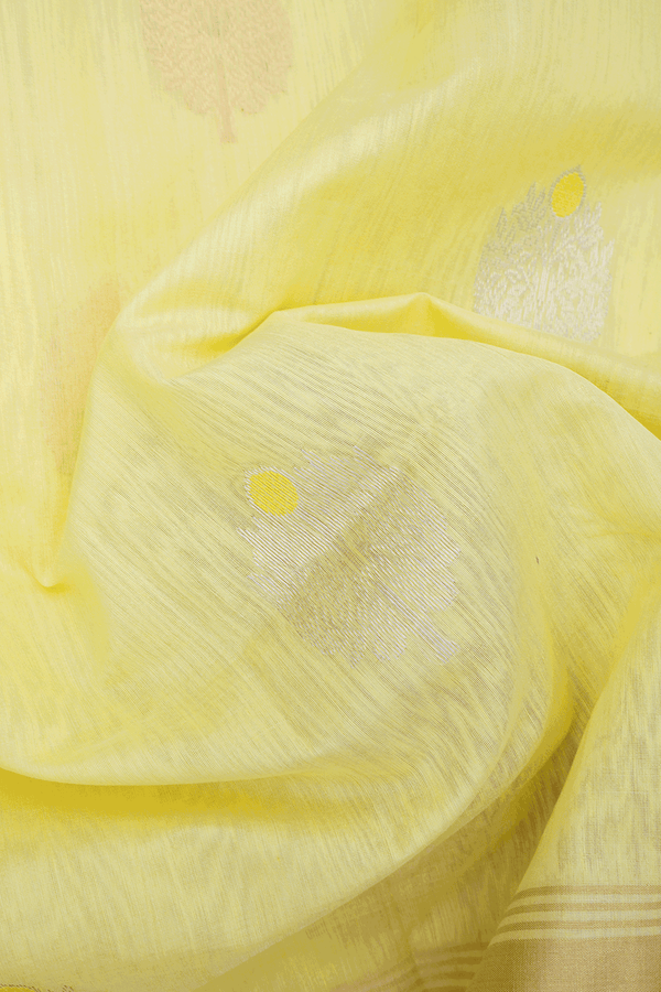 Tree Zari Motifs Light Yellow Maheswari Silk Cotton Saree