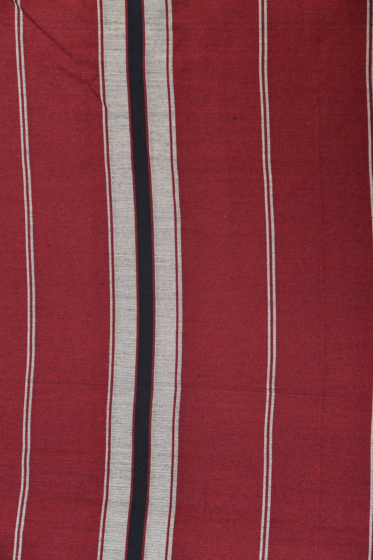 Warli Kasuti Embroidered Work Light Grey Dharwad Cotton Saree